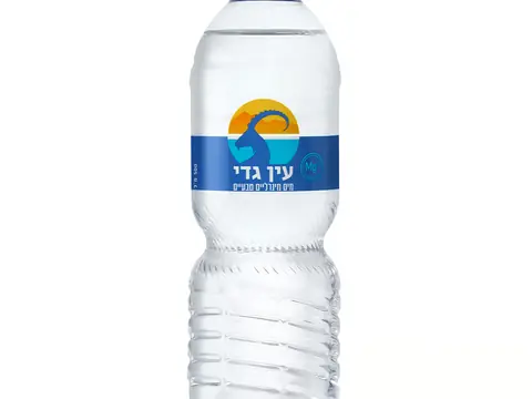 מים מינרלים